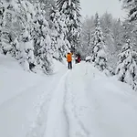 Terejo & Pensión Ventron