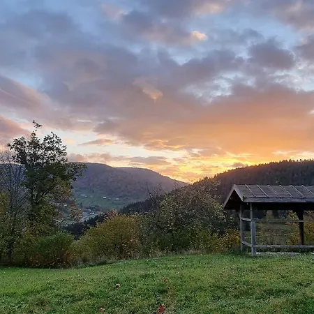 Affittacamere Terejo & Ventron