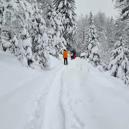 Terejo & Konukevi Ventron