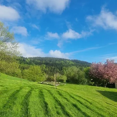 Πανσιόν Terejo &