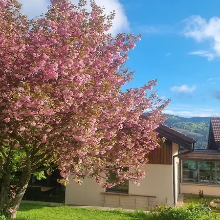 Terejo & Konukevi 3*