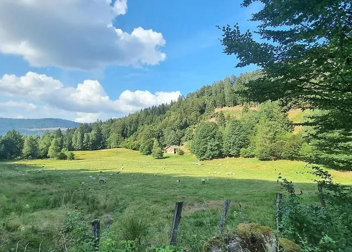 Πανσιόν Terejo &