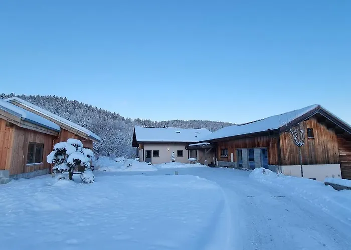 Terejo & Πανσιόν