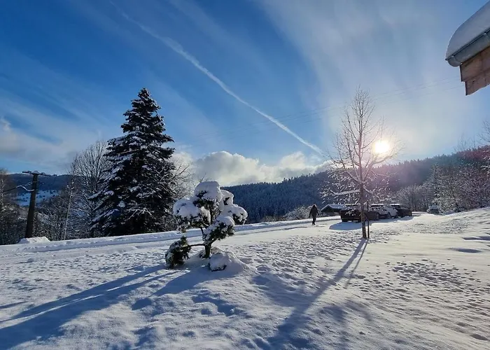 Penzion Terejo & Ventron