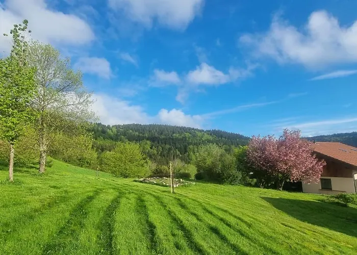 Πανσιόν Terejo &